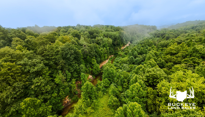 Jefferly Road 16+/- Acres, Dexter City, OH