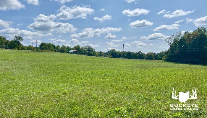 5+/- Acres, 0 FB Eye Rd, Blue Rock, Ohio 43720