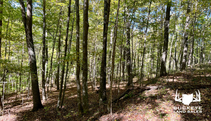 12.5+/- Acres, Stewart, Ohio 45778