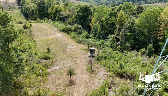 59+/- Acres, Gallipolis, Ohio