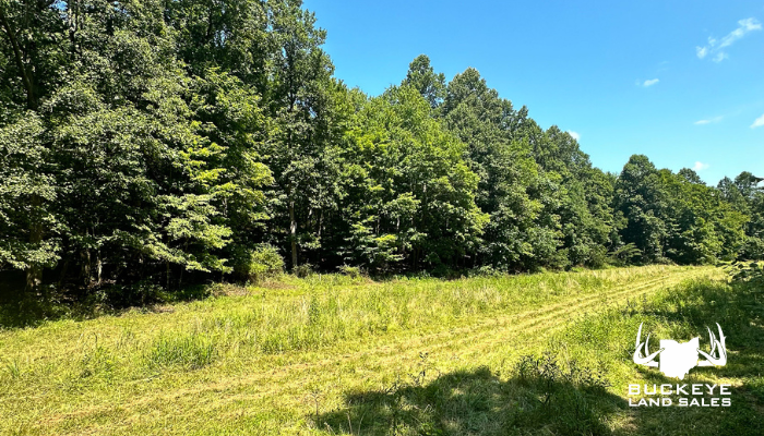 159.78+/- Acres, Portsmouth, Ohio