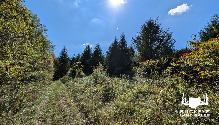 19+/- Acres, Athens, Ohio